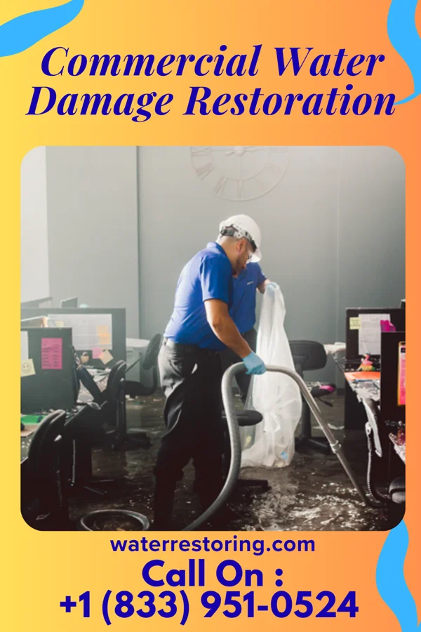 Commercial Water Damage Restoration in Mukilteo, WA